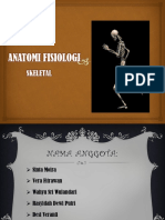 Anatomi Fisiologi Skeletal