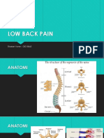 Low Back Pain Referat