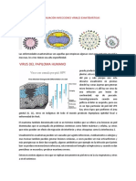 Continuación Infecciones Virales Exantemáticas