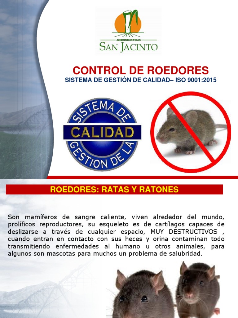 Control de Roedores | PDF | Salud y bienestar | Tecnología