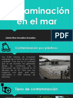 Contaminacion en El Mar