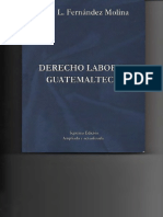 Libro laboral Fernandez Molina.pdf