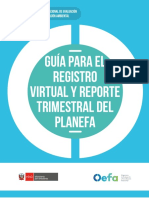 GUIA SOBRE PLANEFA 2020-REVISAR