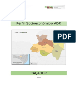 Perfil Socioeconômico ADR Cacador 250117.pdf