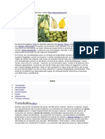 Para otros usos de este término.pdf