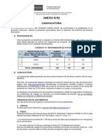 ANEXO 02 - FORMATO DE CONVOCATORIA.pdf