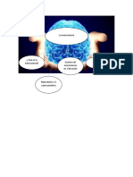 Trabajo cursos neuroc.docx