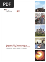 Guidelines GTZ-Holcim Espanol