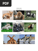 Abecedario de Animales en Español | PDF | Organismos | Naturaleza