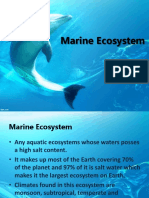 Marine Ecosystem