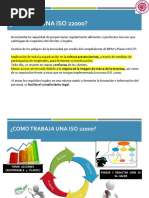 Iso - 22000 - 2018 Español | PDF | Análisis de Riesgo y Puntos Críticos ...