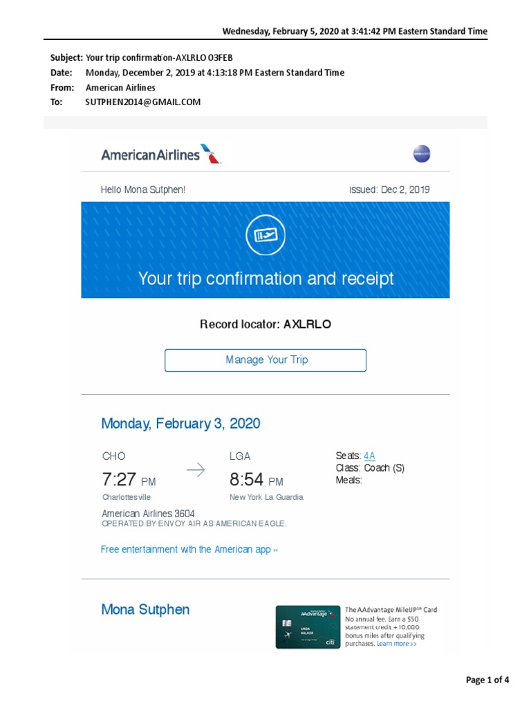 American receipt pdf pdf baggage airlines