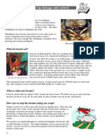 Locust Feeding PDF