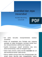 Jejas Reversibel Dan Jejas Ireversibel