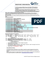 Pt. Freeport Indonesia PDF