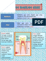 Booklet - Chacha Baru