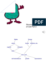 10 (Structure and Function of The Cell)