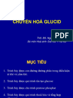Chuyen Hoa Glucid