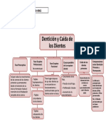 Mapa Mental Sobre Denticion PDF