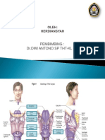 larynx new(1).pptx