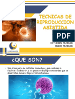 Plantilla Institucional Diapositivas