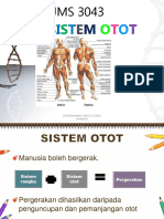 Sistem Otot Completed 2007