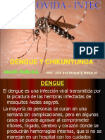 Dengue - Chikunyunga