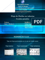 Tema 2 - Flujo de Fluidos en Tuberias