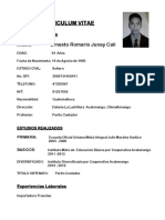 Curriculum Vitae Junayyy