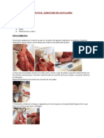 Diseccion pulmon.pdf