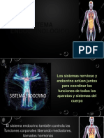 Sistema Endocrinológico