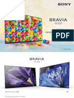 2020.bravia.pdf