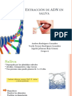 Extracción de ADN en Saliva