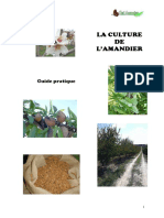 Guide-CultureAmande-2015