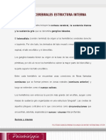 Lectura S5- HEMISFERIOS CEREBRALES ESTRUCTURA INTERNA.pdf