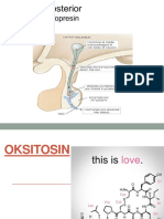 Oksitosin & Vasopresin