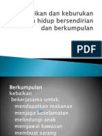 Kebaikan Dan Keburukan Haiwan Hidup Bersendirian Dan Berkumpulan