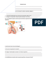 Evaluación Sexto Sistema Respiratorio