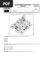 ED4 - Estudo Dirigido em Biologia Celular (1).pdf