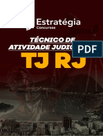 Ebook - Técnico de Atividade Judiciária - TJ-RJ PDF