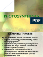 Photosynthesis2 PDF