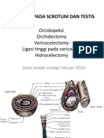 Optek Urologi Fixed