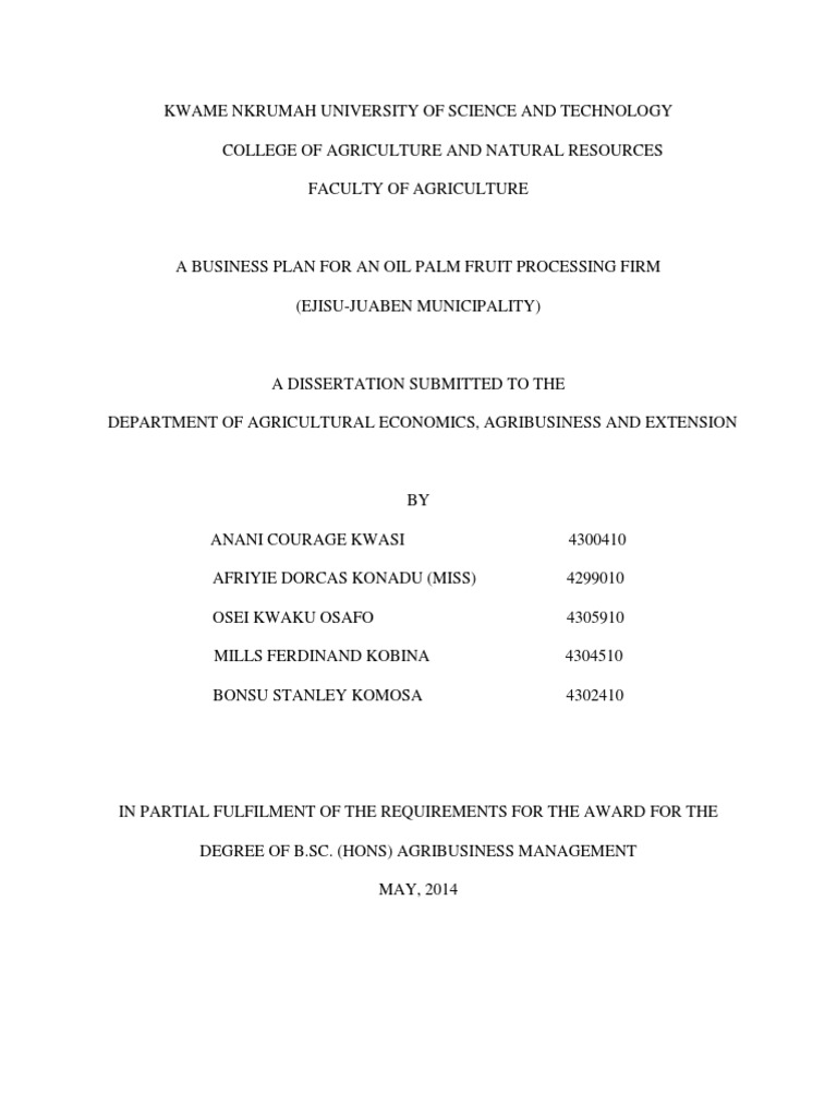 Palm Oil Business Plan PDF Palm Oil Net Present Value