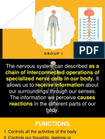 Nervous System