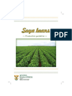 Soya Beans PDF