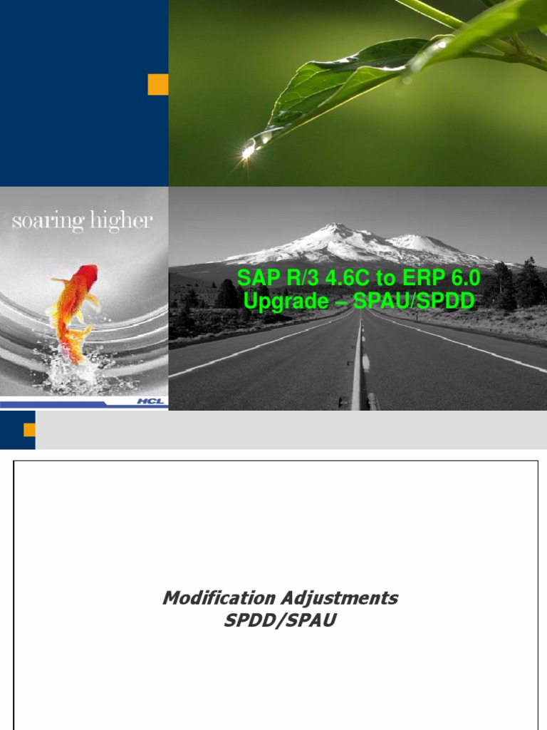 SPAU/SPDD Upgrade Adjustments Guide | PDF
