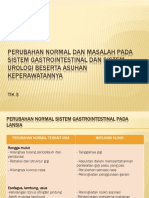 Masalah Sistem Gastrointestinal Dan Sistem Urologi