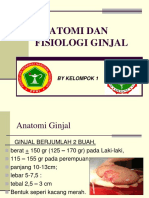 ANATOMI DAN FISIOLAGI GINJAL Kel 1