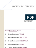 Plasmodium Falciparum