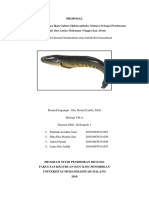 Proposal Kwu Ikan Gabus Revisi